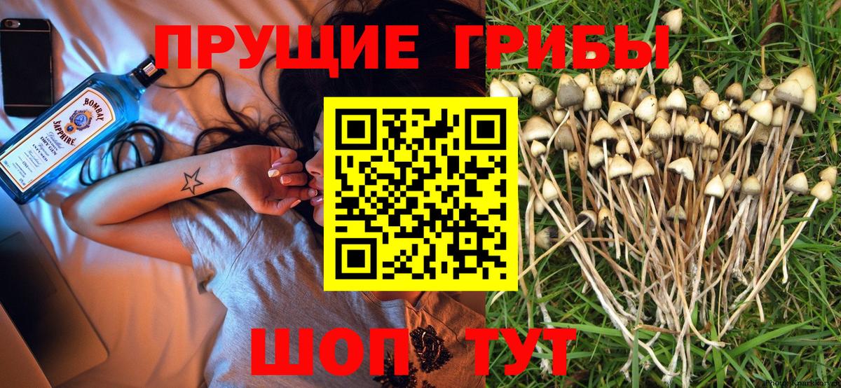 Галлюциногенные грибы прущие грибы  Псилоцибиновые грибы GOLDEN TEACHER  Иваново  Вход с VPN 